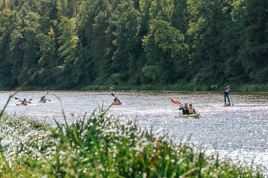 gal/  Regata_2026/275.jpg